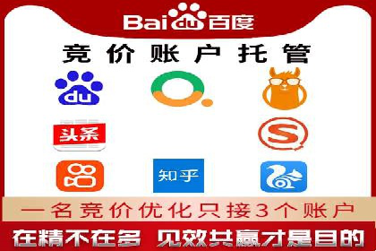 行业标杆的SEM竞价营销案例研究